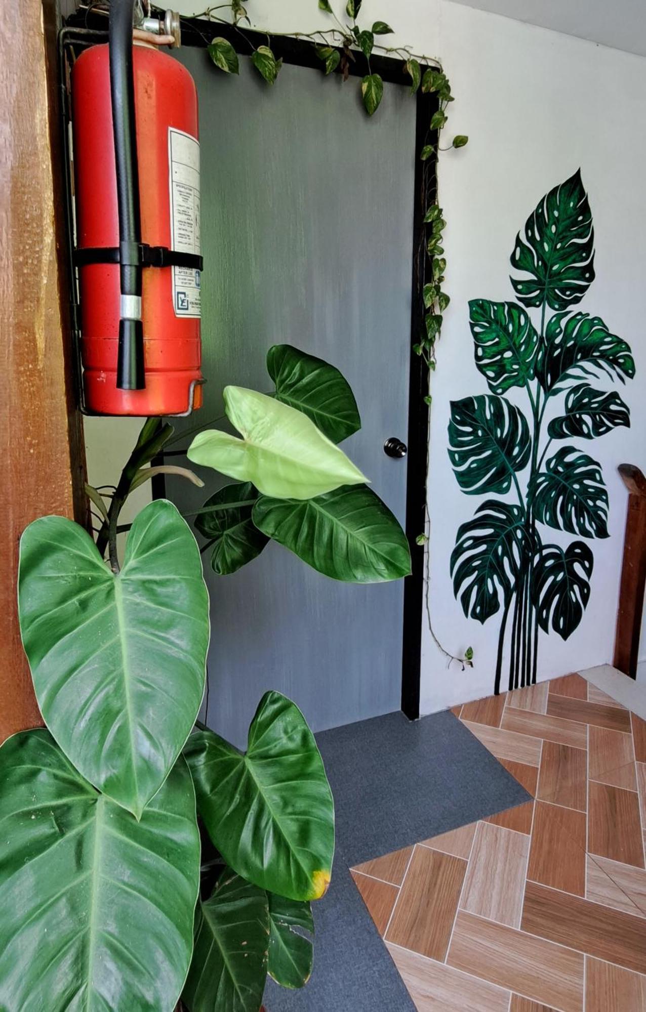 Bougainvillea Guesthouse San Juan  Dış mekan fotoğraf